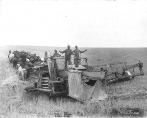 William Albert Woods Harvest Outfit, Sherman County, Oregon.
