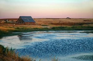 A pond and barn along Rutledge Road in Sherman County, Oregon.