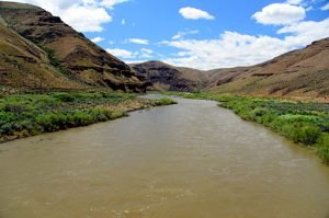 The John Day River at the Highway 206 bridge.