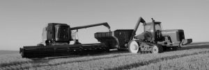 Wheat harvest at Wheatacres Ranch near Wasco, Oregon.