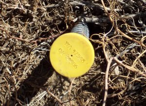 Survey marker at Leonard's Rock, Sherman County, Oregon