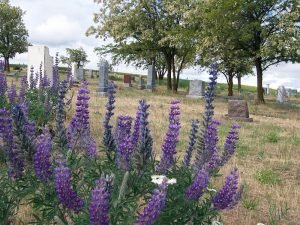 Moro Cemetery, Moro, Oregon