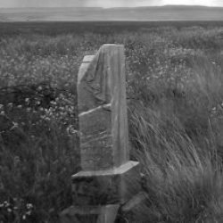 Observer Cemetery, Sherman County, Oregon