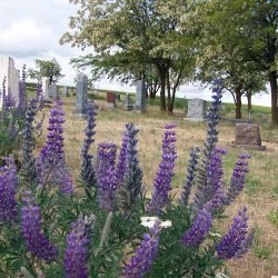 Moro Cemetery, Moro, Oregon