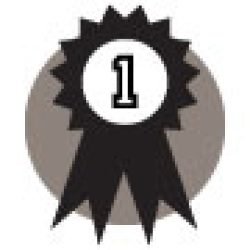 Firsts Icon - genealogyfields.com